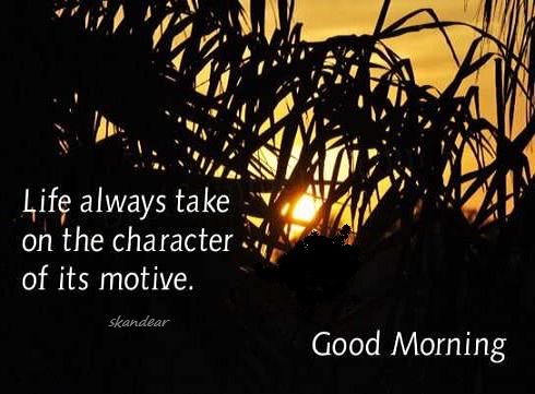 Life Always Take On The Character - Good Morning-wg0180900