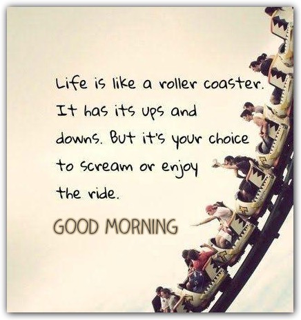 Life Is Like A Roller Coaster