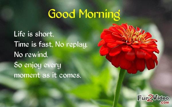 Life Is Short - Good Morning-wg16472