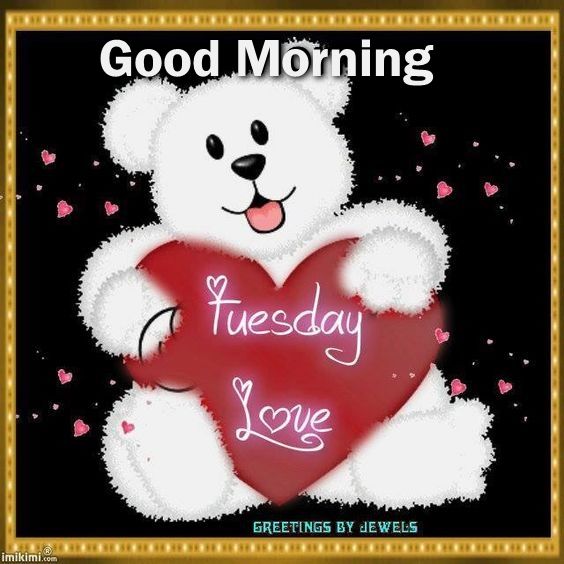 Love Teddy - Good Morning-wg11497