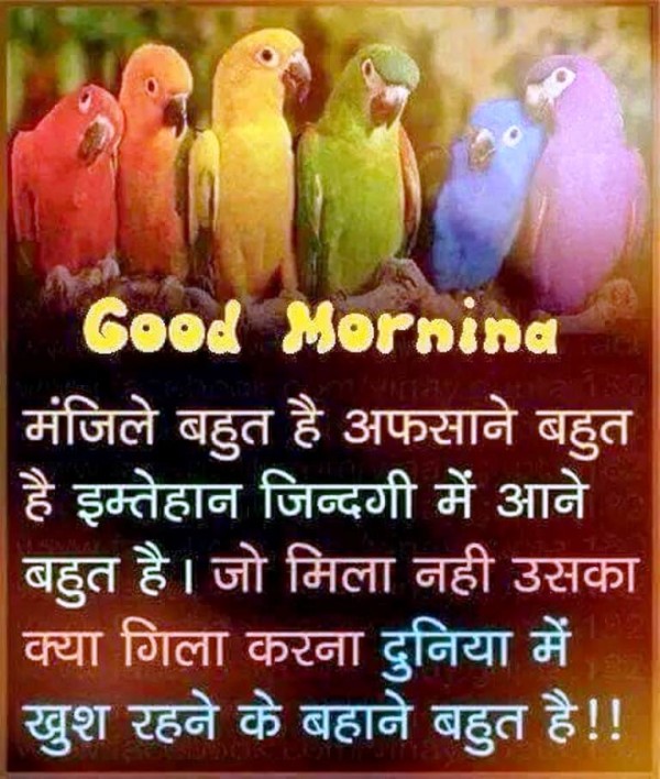 Manzile Bahut Hai -  Good Morning-wg023291