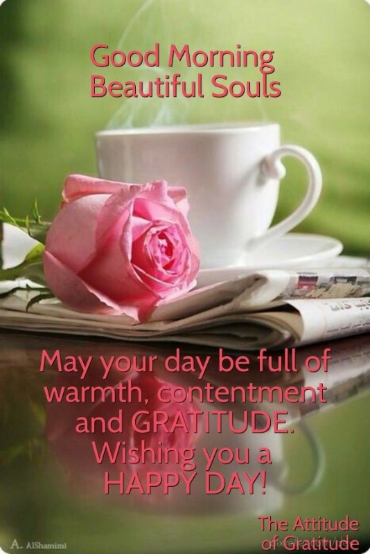 May Your Day Be Full Of Warmth-wg16502