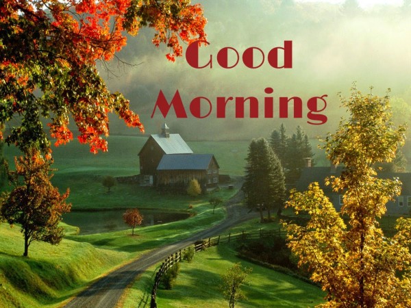 Good Morning Wishes Pictures, Images