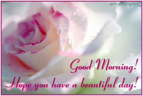 Morning Blessing-wg0180975
