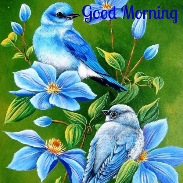 Morning - Blue Birds-wg16521