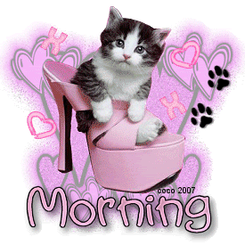 Morning - Cat-wg0180932