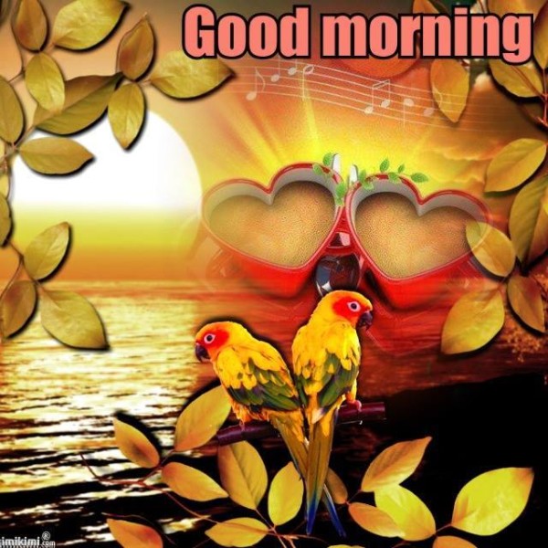 Morning - ColorfulBirds-wg16525