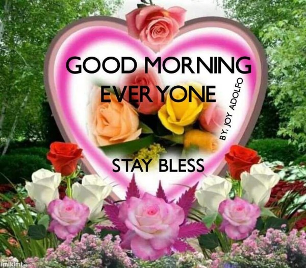 Morning Everyone - Stay Bless-wg16561