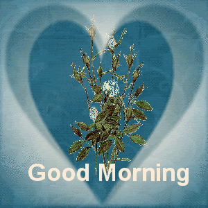 Morning - Flowers-wg0180935