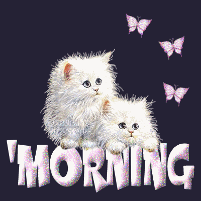 Morning Glittering Cat-wg0180988