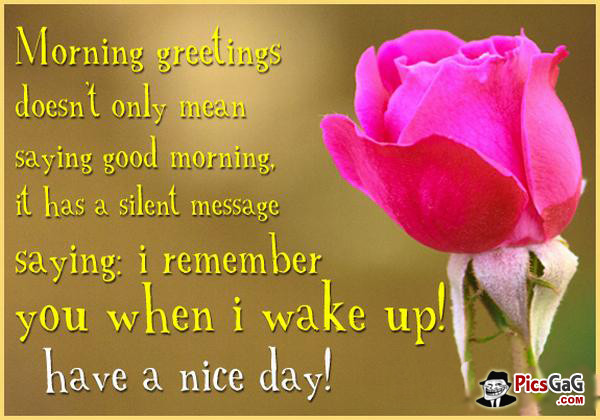 Morning Greetings Does Not Mean Saying Good Morning-wg140625