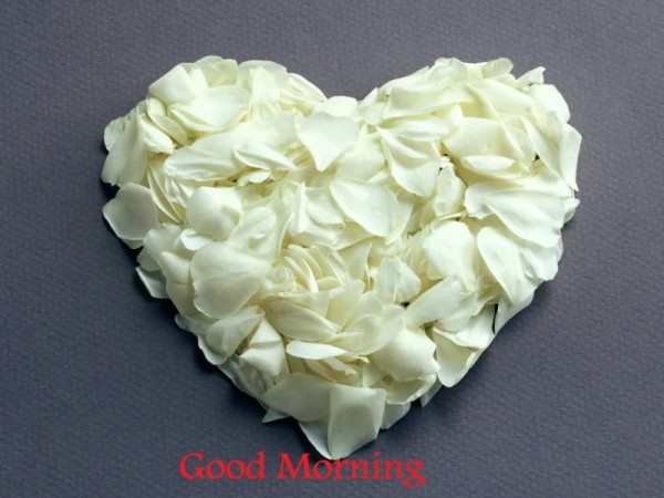 Morning - Heart-wg16537