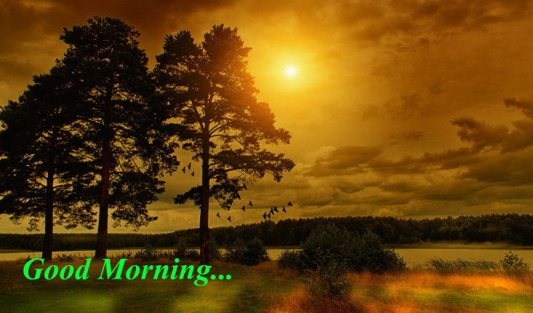 Morning Image !-wg140627