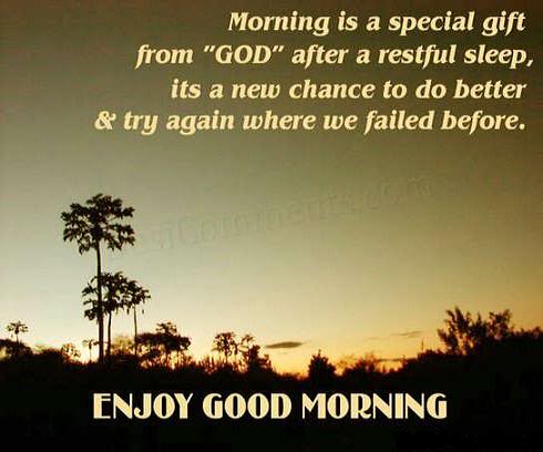 Morning Is A Special Gift-wg0181010