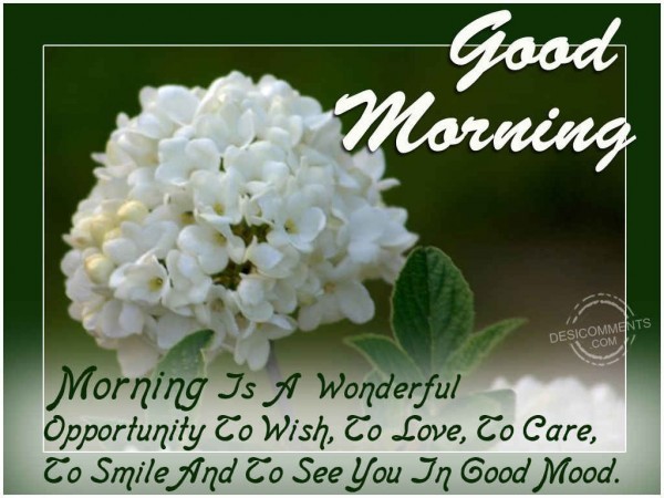 Morning Is A Wonderful Opportunity To Wish-wg0181011