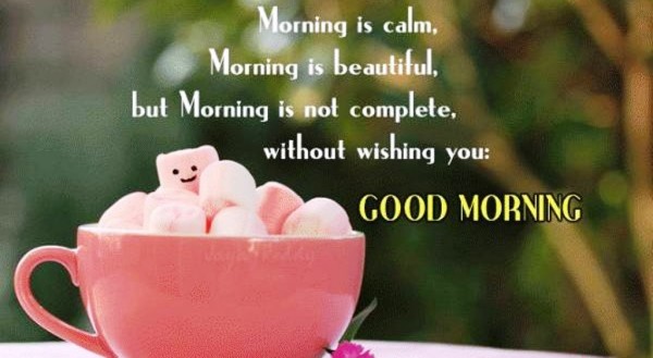 Morning Is Calm - Good Morning-wg023301