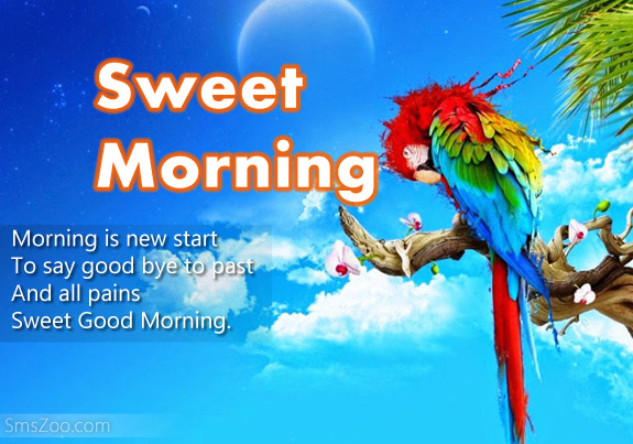 Morning Is New Start-wg16575