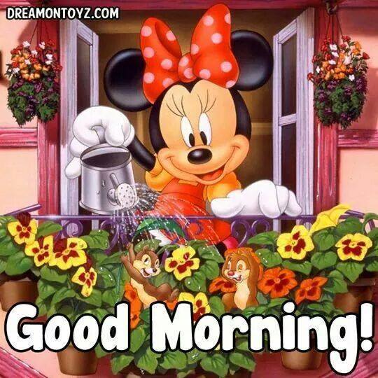 Morning Mickey-wg16580