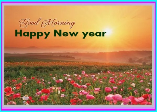 Morning - New Year !-wg16542