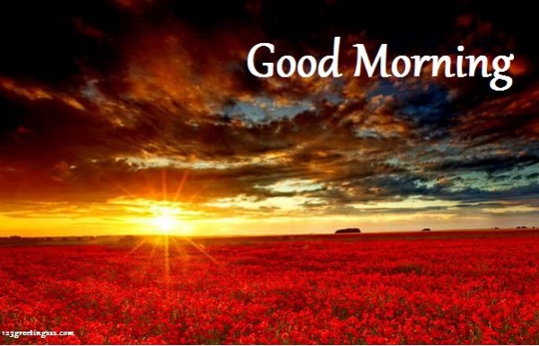Morning Photo-wg16585
