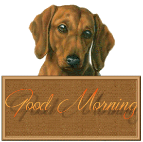 Morning - Puppy-wg0180950