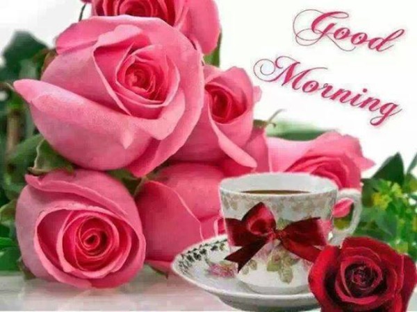 Morning - Roses !!-wg16549