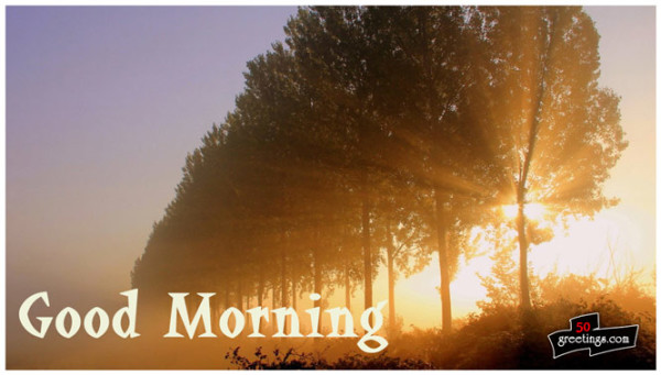 Morning Sunshine !-wg140650