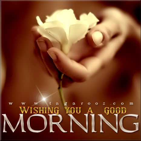 Morning Wishes With Flower-wg0181029