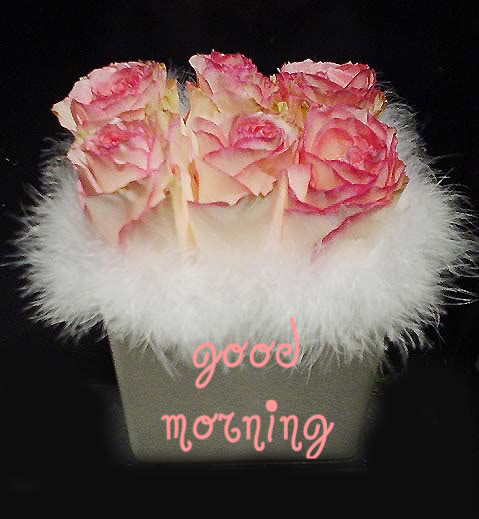 Morning With Pink Roses-wg0181035