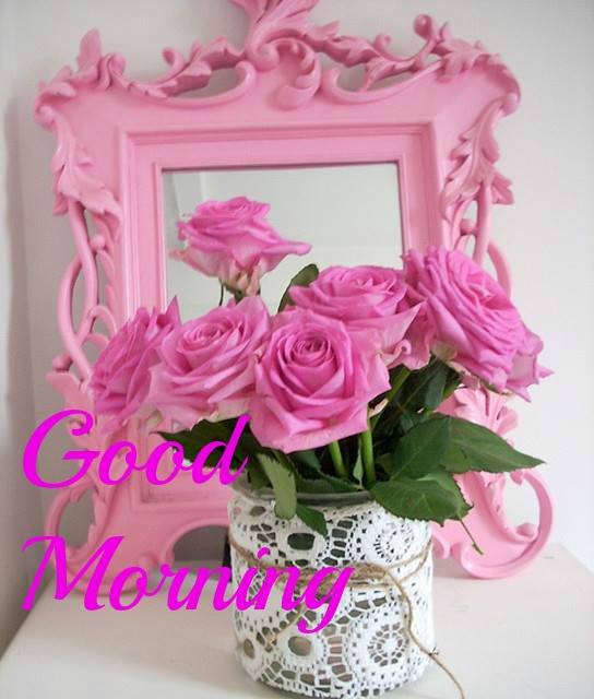 Morning With Pink Roses-wg16617