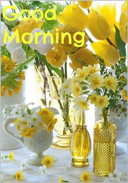 Morning - Yellow Flowers-wg16556