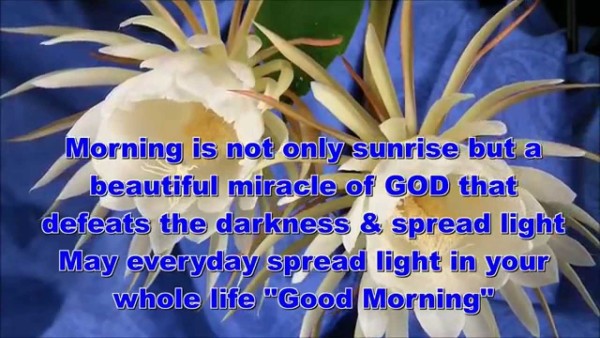 Morning Is Not Only Sunrise !-wg140638