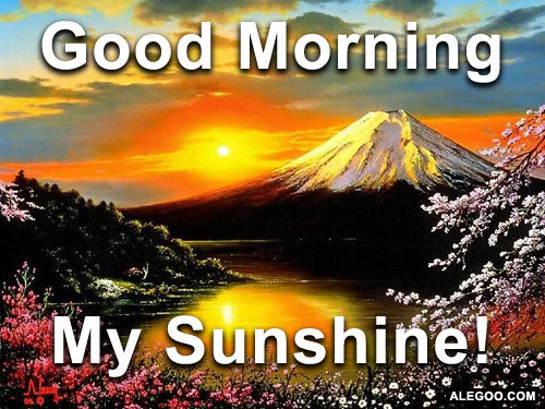 My Sunshine - Good Morning-wg0181041