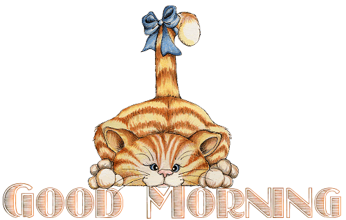 Naughty Cat - Good Morning-wg0181042
