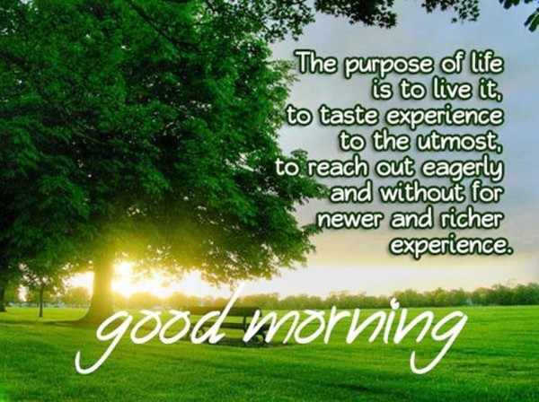 Newer And Richer Experience- Good Morning-wg023310