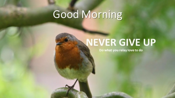 Never Give Up - Good Morning-wg140680