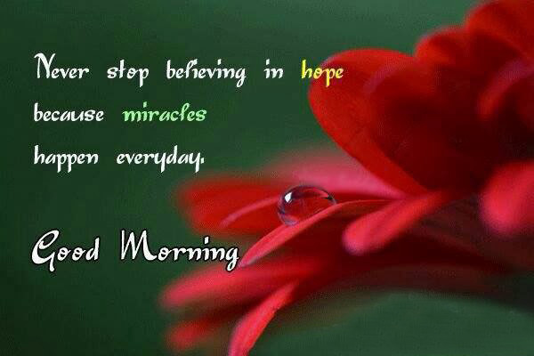 Never Stop Believing In Hope-wg16648