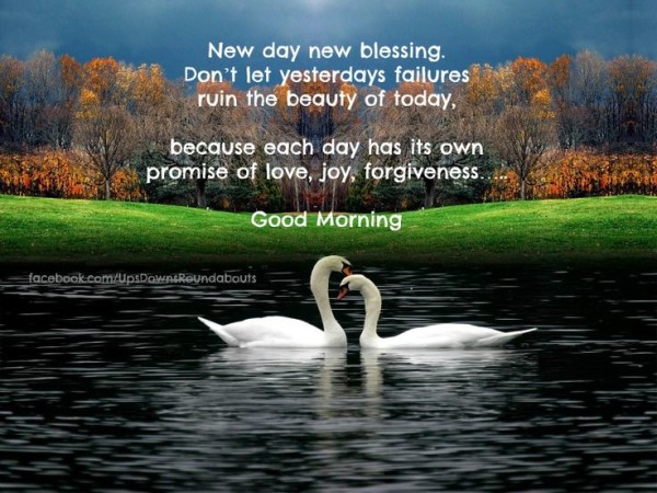 New Day New Blessing-wg16651