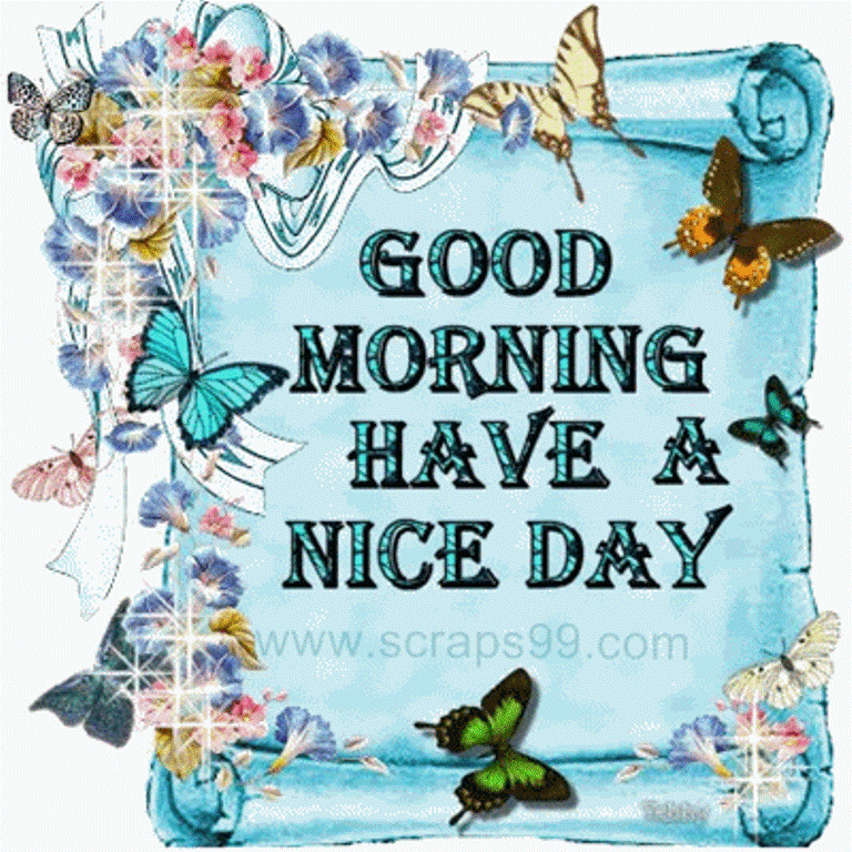 Have A Nice Day -  Good Morning-wg034404