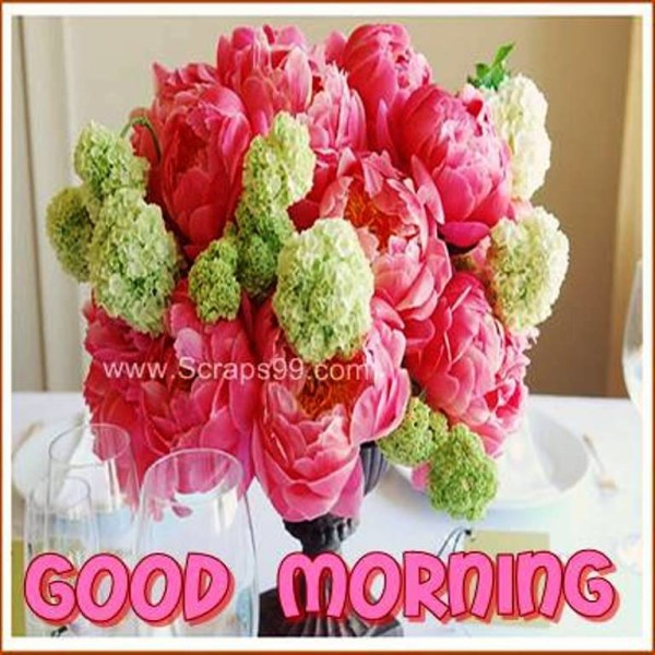 Colorful Flower - Good Morning-wg023330