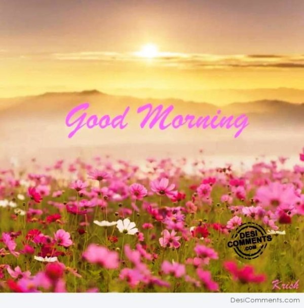Nice Morning-wg023312
