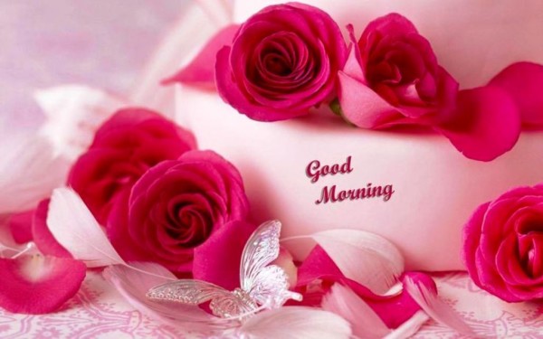 Nice Image- Good Morning!-wg023339