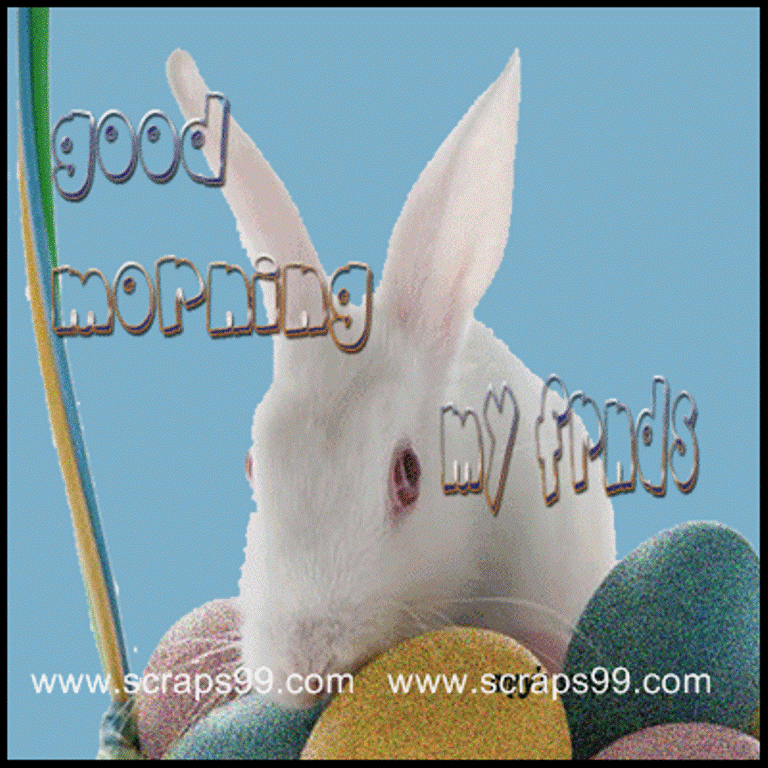 Nice Rabbit -  Good Morning-wg034417
