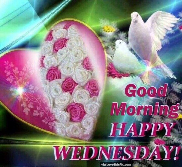 Wednesday - Good Morning-wg034418