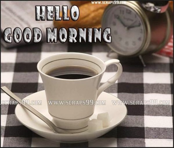 Nice Tea -  Good Morning-wg023351