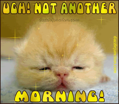 Not Another Morning !-wg0181043