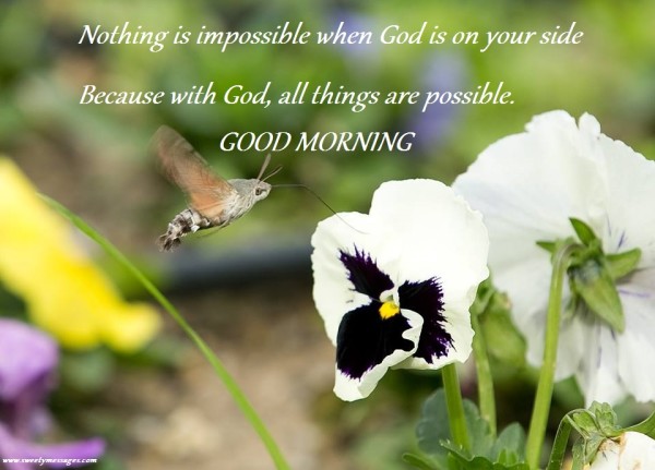 Nothing Is Impossible - Good Morning-wg140711