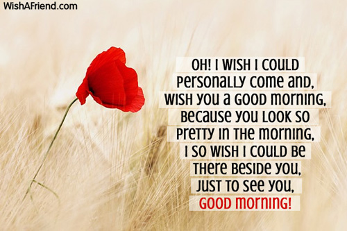 Oh I Wish I Could Personally Come And Say  Good Morning-wg034204