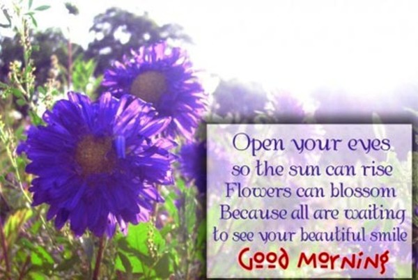 Open Your Eyes - Good Morning-wg023357