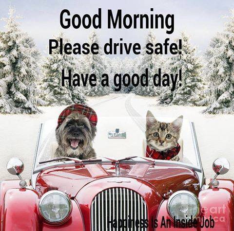 Please Drive Safe - Good morning-wg16668